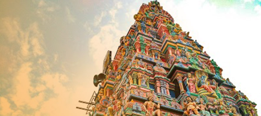 thiruvallur temple , Sri Veeraraghava Swamy Temple , Goshala