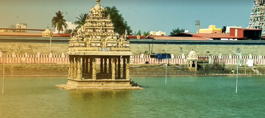 thiruvallur temple , Sri Veeraraghava Swamy Temple , Goshala