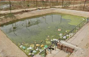 thiruvallur temple , Sri Veeraraghava Swamy Temple , Goshala